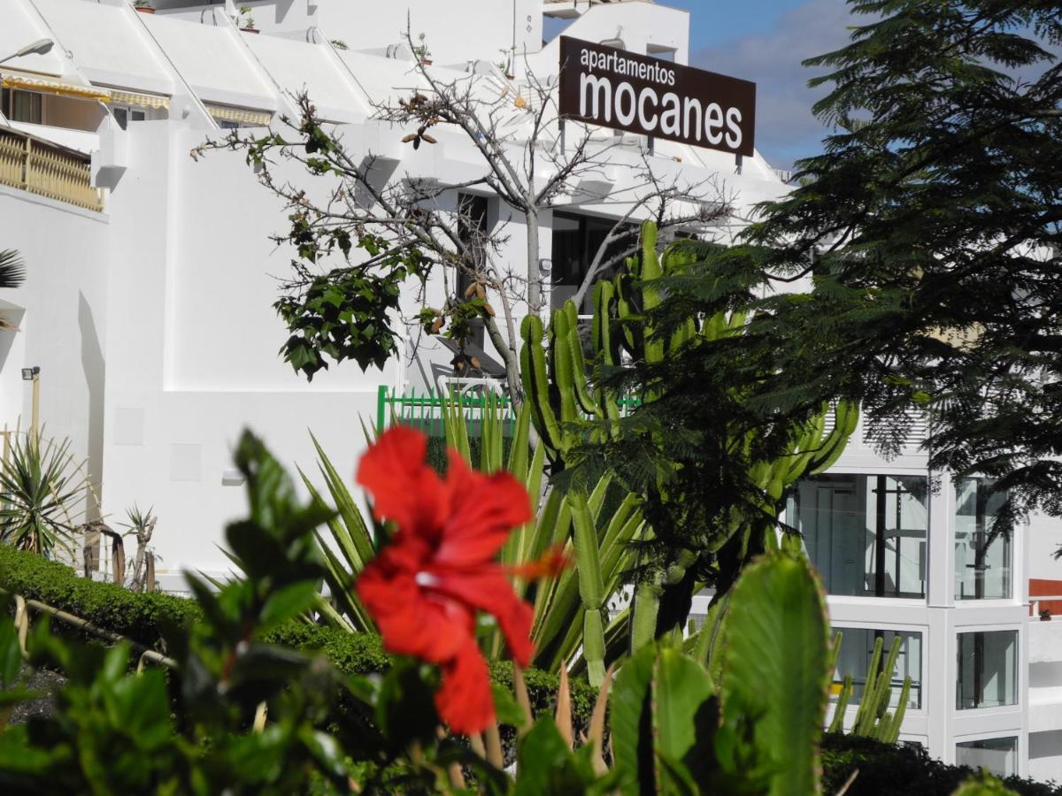 Apartamentos Los Mocanes Puerto Rico  Zewnętrze zdjęcie